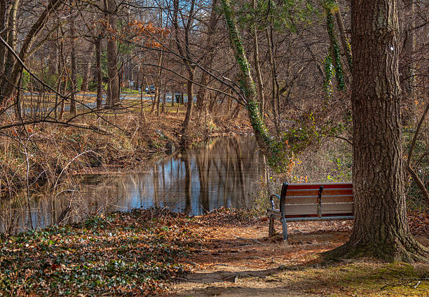 istock A rural wilderness area in winter. 2254106941
