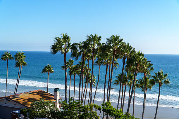 istock Palm Trees Frame a Scenic Coastal View with Blue Ocean Waves and a Sandy Beach Under a Clear Sky. 2254106994
