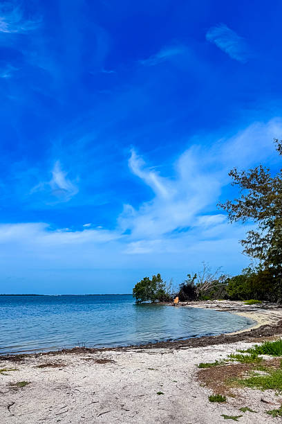 istock Calm waters under a bright blue sky at a secluded beach with soft sand and gentle waves during midday 2254107433