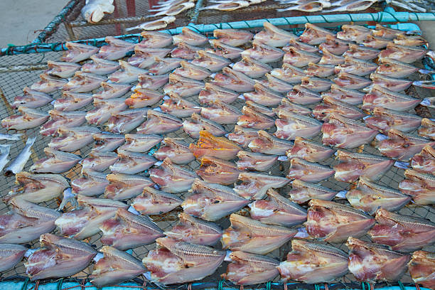 Fish in the sun drying on fisherman field in Bangkok, Bangkok, Thailand
