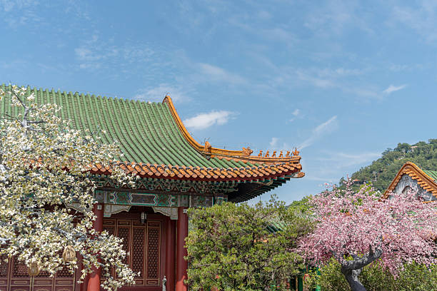 Traditional Chinese architecture and plum blossoms