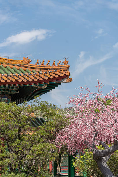 istock Traditional Chinese architecture and plum blossoms 2254115637