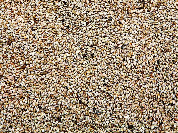 istock sesamum or sesame dried seeds 2254119563