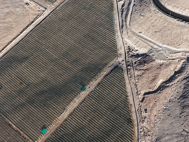 istock construction of huge agricultural nurseries for research on genetically modified crops 2254120126