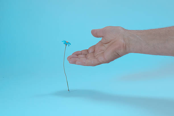 istock Male hand offering support to a long stem flower 2254120566