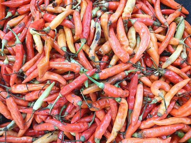 Fresh red chilli peppers piled together in a vibrant background. Spicy agricultural produce commonly used in cooking, food seasoning, traditional cuisine, and local market ingredients
