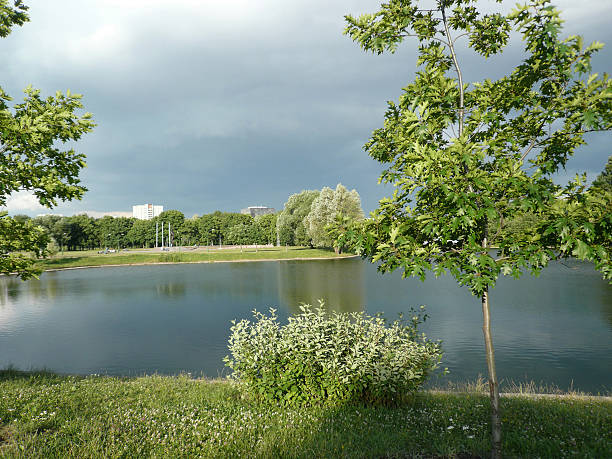 summer in city park at dry sunny day