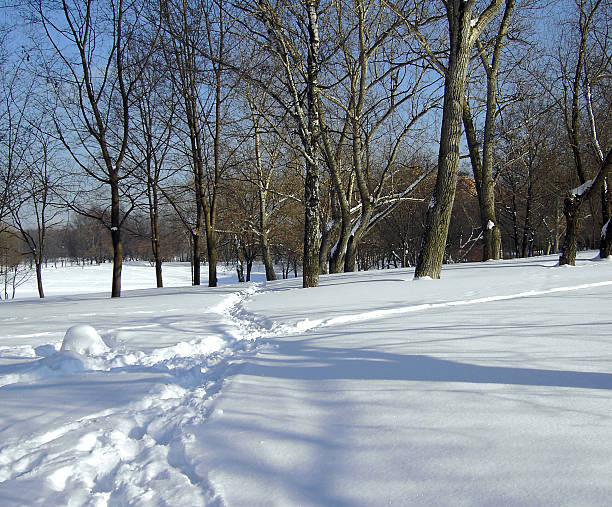 snow in sunny day at februar
