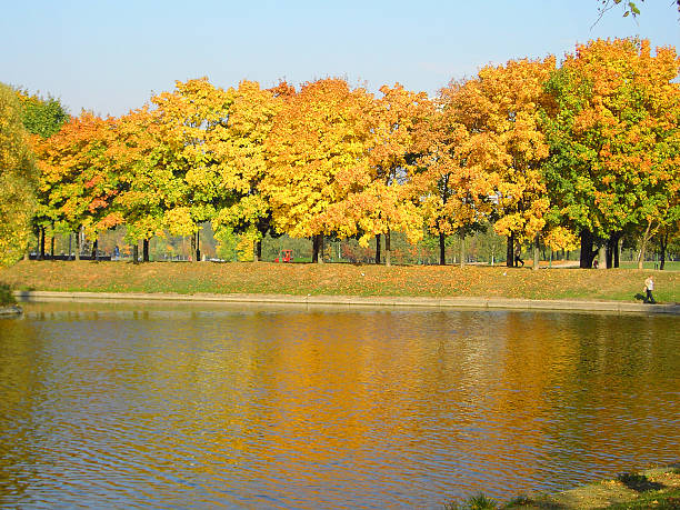 autumn in city park at october