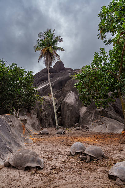The iconic golden sands, gently lapping Indian Ocean surf, sculpted rocks and swaying palms of the Anse Source d'Argent beach under tropical skies on the picturesque island of La Digue, Seychelles. ProPhoto RGB profile for maximum color fidelity and gamut.