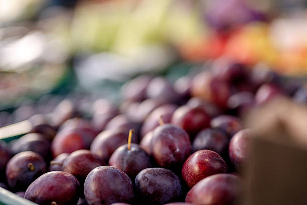 Blue Plums Fruits at Farmers Market Stall in Turkey