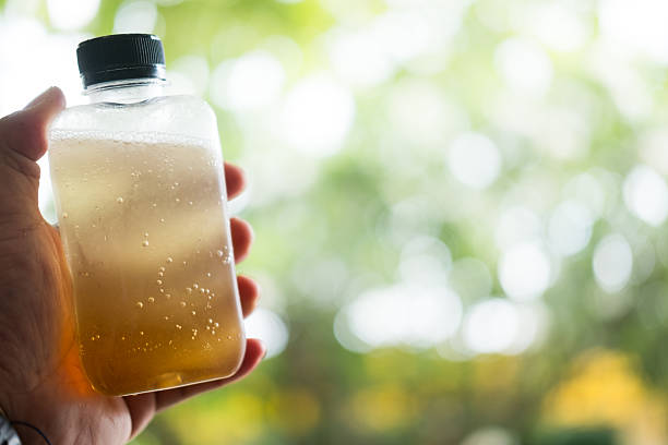 Refreshing a bottle filled with fresh lemons and a honey