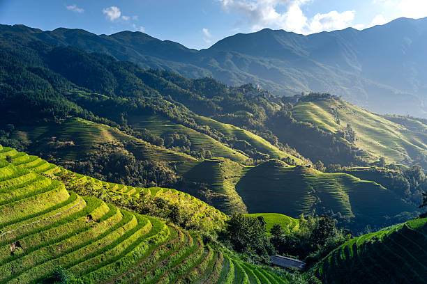 istock Terraces of Longji Mountain, Guangxi 2254137327