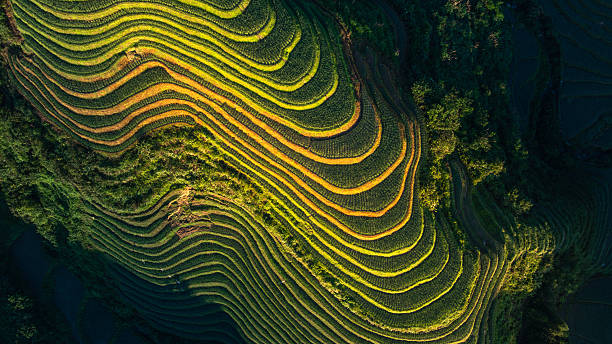 istock Terraces of Longji Mountain, Guangxi 2254137399