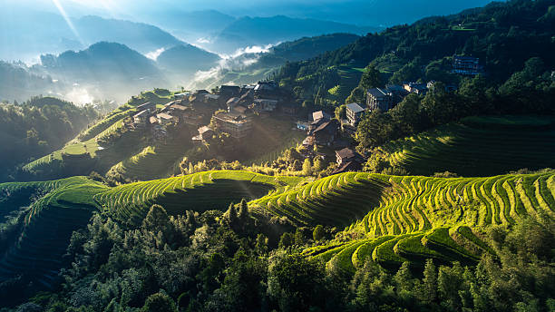 istock Terraces of Longji Mountain, Guangxi 2254137414