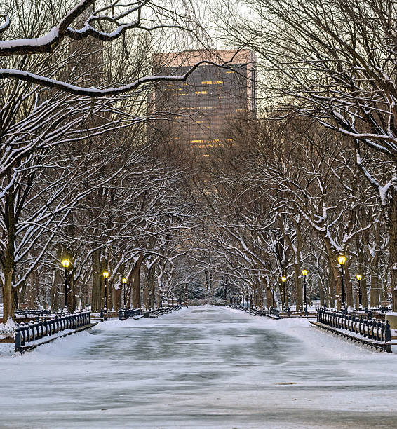 istock Central Park the Mall, during snow storm 2254141510