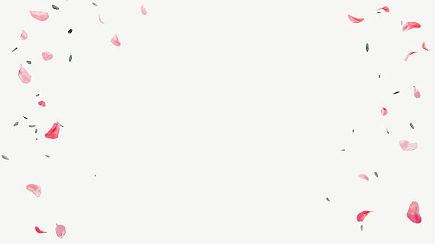 Pink flower petals and small green leaves forming a loose border on an off white background with an empty center.