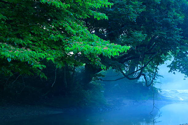 istock Summer landscape photography 2254147288