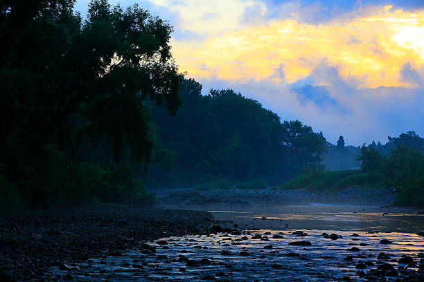 Summer scenery