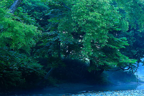 istock Summer landscape photography 2254147297