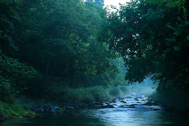 istock Summer landscape photography 2254147317