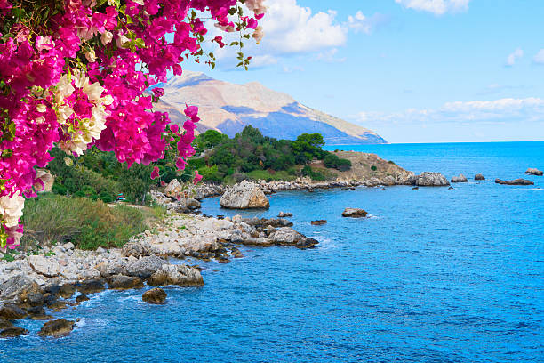 beautiful nature of Scopello cliffs, Sicily Island, Italy