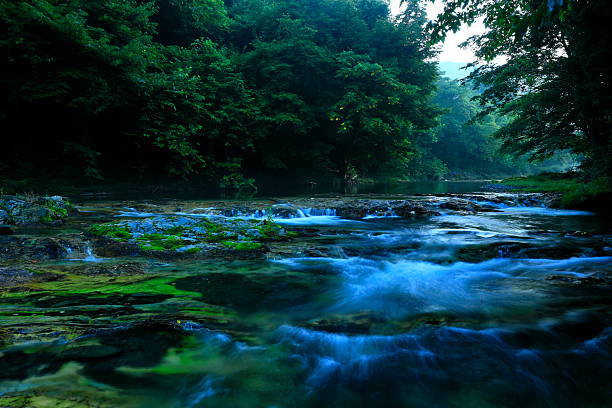 The spring of Vipava river in springtime.