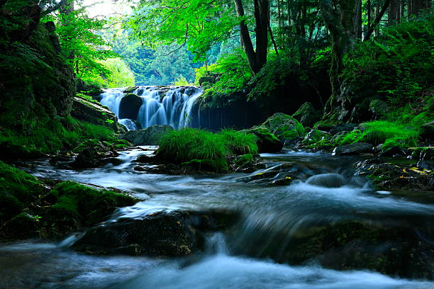 istock Summer landscape photography 2254147517