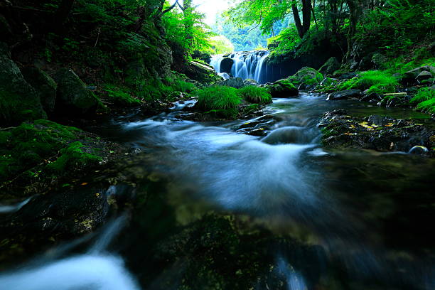 istock Summer landscape photography 2254147521