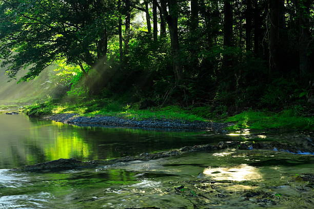 Summer scenery