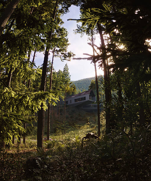 A modern low-profile building designed to blend into the surrounding forest and landscape, showing a vision of nature-first sustainable architecture. Calm, realistic light and atmosphere highlight coexistence with the environment. (3d render)