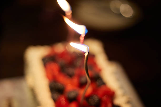 Senior woman is celebrating her 86th birthday, sitting at a table with a cake displaying number candles, enjoying a family gathering with a dog nearby