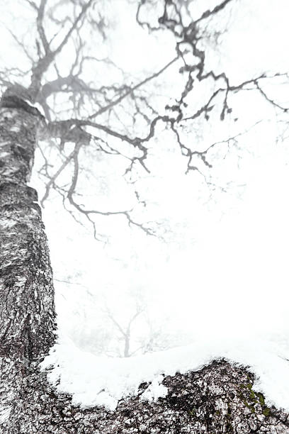 Fine art photography in the Alps mountains