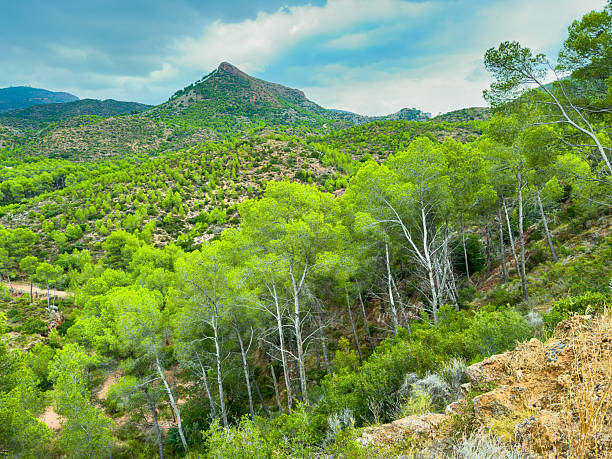 istock Vibrant green hills stretch beneath a peaceful sky in a serene mountain landscape, inviting exploration and adventure amidst nature s bounty 2254151495