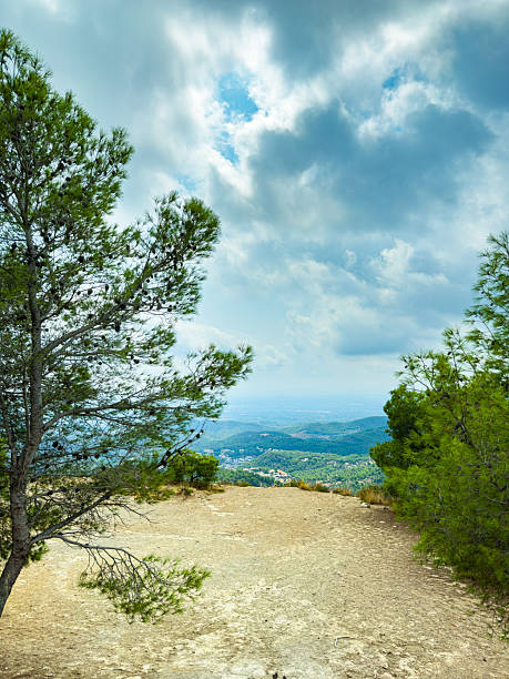 istock Scenic view from a mountain summit surrounded by lush trees and a vast valley under a dramatic sky in midday light 2254152505