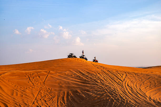 Off-road SUVs race across golden sand dunes during an exciting desert safari, leaving tire tracks under warm sunrise or sunset light in a thrilling dune bashing experience.