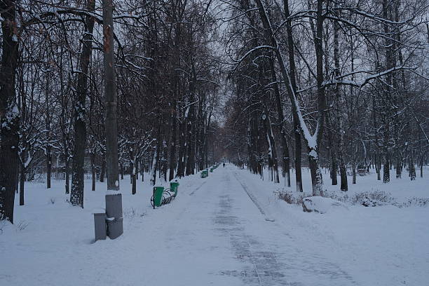 Park view on a winter day in Moscow, snow, white, cold weather, trees