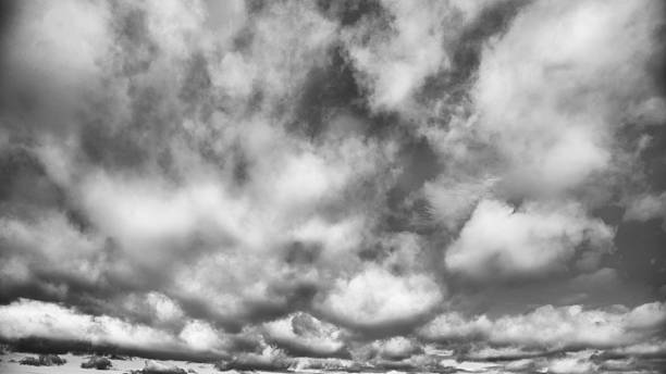 Panoramic sky landscape with vibrant blue background and scattered fluffy clouds.