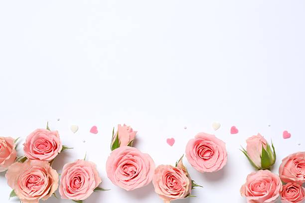 istock Beautiful composition with pink peony roses on white background 2254173115