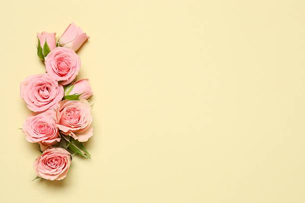 istock Beautiful composition with pink peony roses on beige background 2254173133