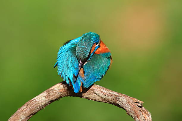 Photo taken in Chiba Prefecture, Japan