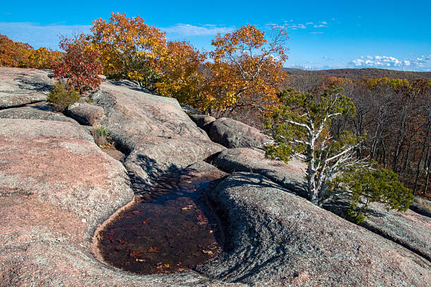 istock Elephant Rocks SP - Potholes & Trees Atop the Granite Field 2254178490