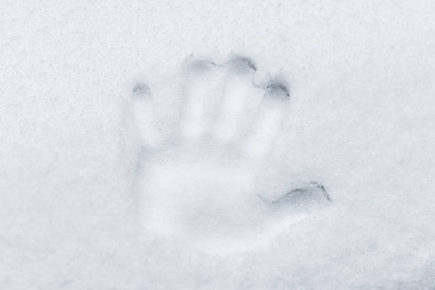 Three distinct handprints of different sizes pressed into flat white snow. The image symbolizes family winter fun, human presence in nature, or leaving a mark. Soft blue shadows highlight the relief of the prints. Top view, minimalistic composition.