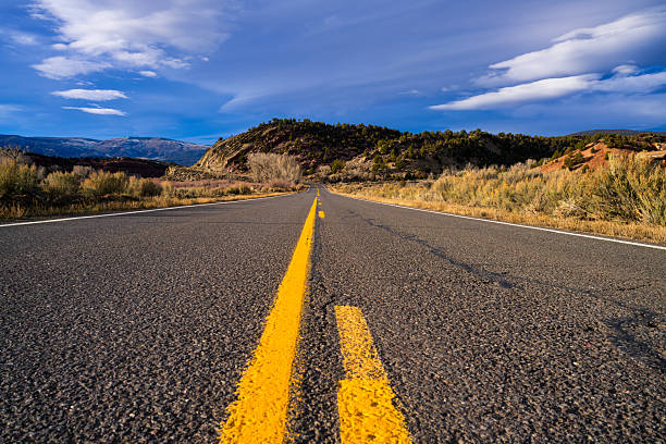 Scenic rural area with curves ahead and dividing line on road. Low angle view close to road with scenic views in background captured in late afternoon warm winter light.
