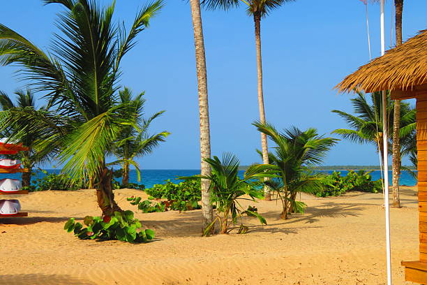 istock Dominican Republic Beach 2254184916