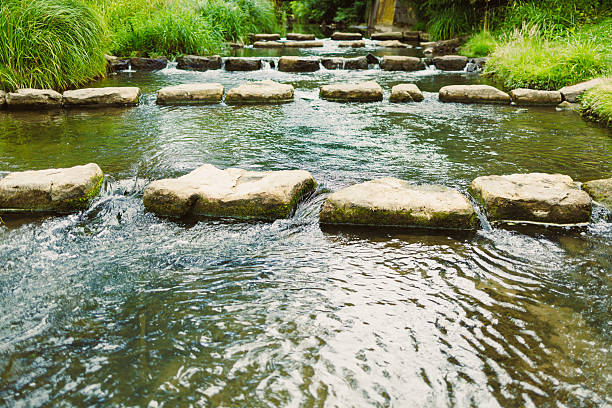 A scenic view features smooth stone stepping stones over a clear stream, surrounded by lush greenery. This tranquil setting invites visitors to immerse in natures beauty