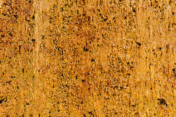 istock This Textured Golden Abstract Background features a vibrant golden surface with unique patterns and intricate grains, ideal for various artistic applications and enhancing creativity 2254187354