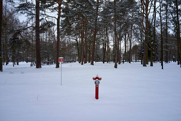 red hydrant in snowy pine forest, distant safety sign and snowcovered ground beneath overcast sky, quiet minimalist scene