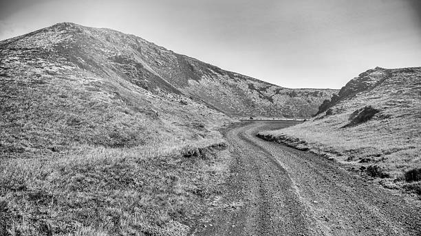 A sheep standing at the top of the hill in the Lake District National park (Cumbria, UK). And edited in black and white.