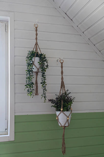 istock Hanging potted plants in macrame holders on wooden wall 2254195550